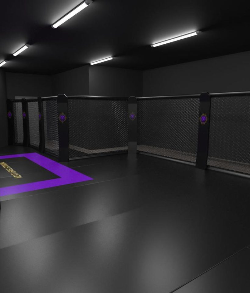 NextLevelStriking Gym Mönchengladbach Cage