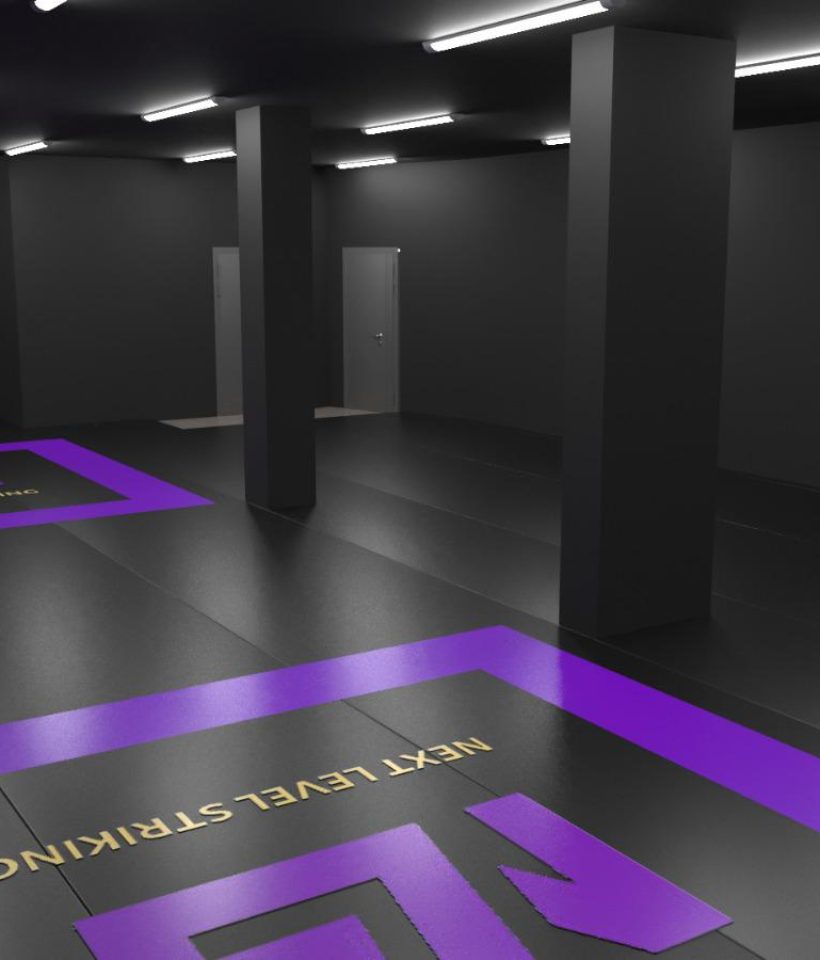 NextLevelStriking Gym